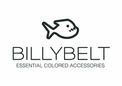 BILLYBELT ESSENTIAL COLORED ACCESSORIES