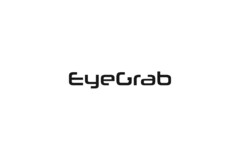 EyeGrab
