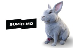 SUPREMO