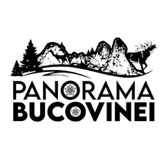 PANORAMA BUCOVINEI