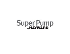 Super Pump by HAYWARD