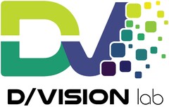 D/VISION Lab