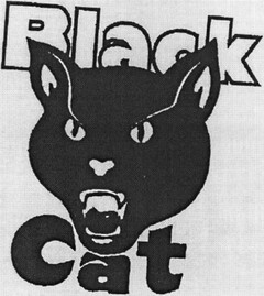 BLACK CAT
