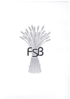 FSB