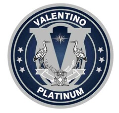 Valentino Platinum