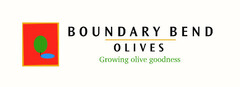 BOUNDARY BEND OLIVES GROWING OLIVE GOODNESS