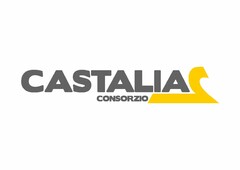 CASTALIA CONSORZIO