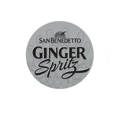 SAN BENEDETTO GINGER SPRITZ