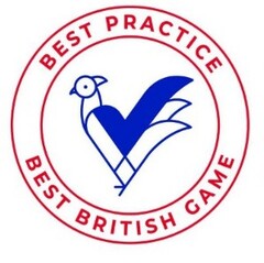 BEST PRACTICE BEST BRITISH GAME