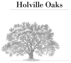 Holville Oaks