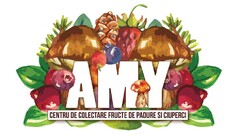 AMY CENTRU DE COLECTARE FRUCTE DE PADURE SI CIUPERCI