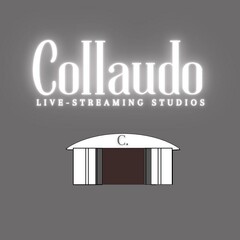 Collaudo LIVE STREAMING STUDIOS C.