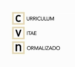 CURRICULUM VITAE NORMALIZADO