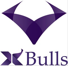 XBulls