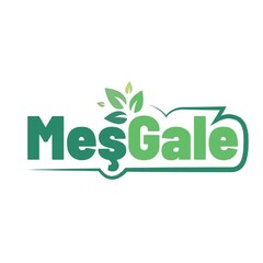 MESGALE