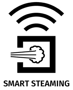 SMART STEAMING