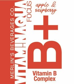 MERLIN'S BEVERAGES CO. VITAM!NAQUA FOCUS apple & raspberry B + Vitamin B Complex