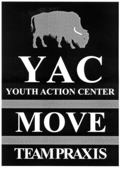 YAC YOUTH ACTION CENTER MOVE TEAMPRAXIS