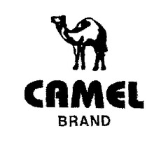 CAMEL BRAND