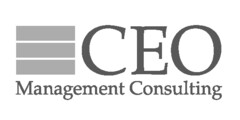 CEO Management Consulting