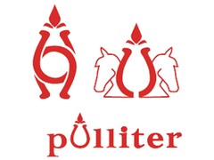 PULLITER