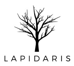 LAPIDARIS