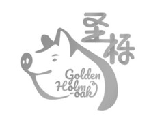 GOLDEN HOLM-OAK