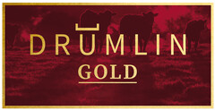 Drumlin Gold