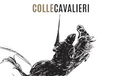 COLLE CAVALIERI