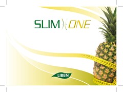 SLIM ONE; LIBEN