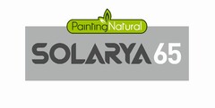 Painting Natural SOLARYA 65