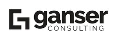 ganser consulting