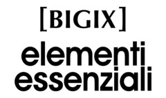 [BIGIX] elementi essenziali