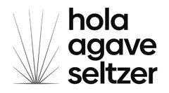 HOLA AGAVE SELTZER