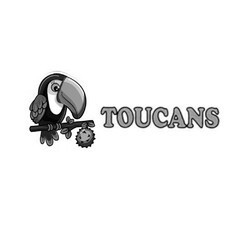 TOUCANS