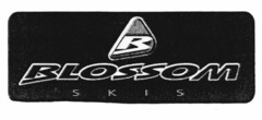 B BLOSSOM SKIS