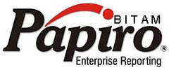 BITAM Papiro Enterprise Reporting
