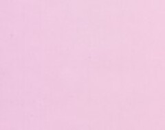 Il marchio è costituito dal colore rosa pantone numero 256C