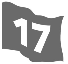 17