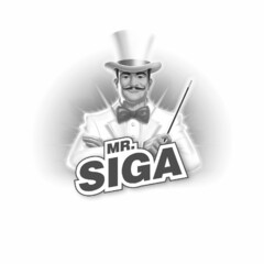 MR.SIGA