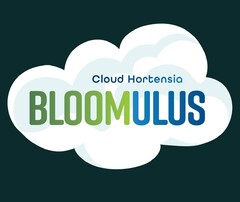 Cloud Hortensia BLOOMULUS