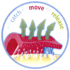 catch move release