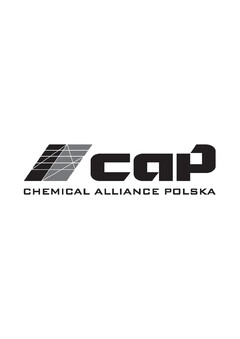 caP CHEMICAL ALLIANCE POLSKA