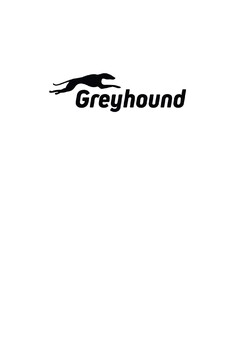 Greyhound