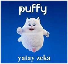 PUFFY YATAY ZEKA