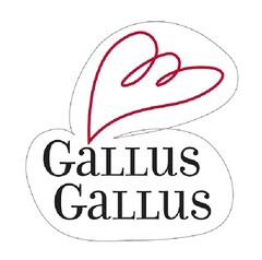 GALLUS GALLUS