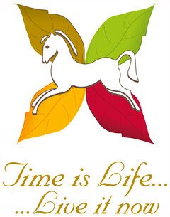 Time is Life...Live it now