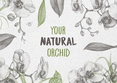 YOUR NATURAL ORCHID