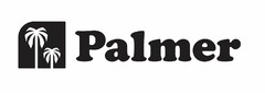 Palmer