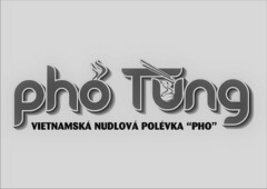 pho Tung VIETNAMSKÁ NUDLOVÁ POLÉVKA "PHO"